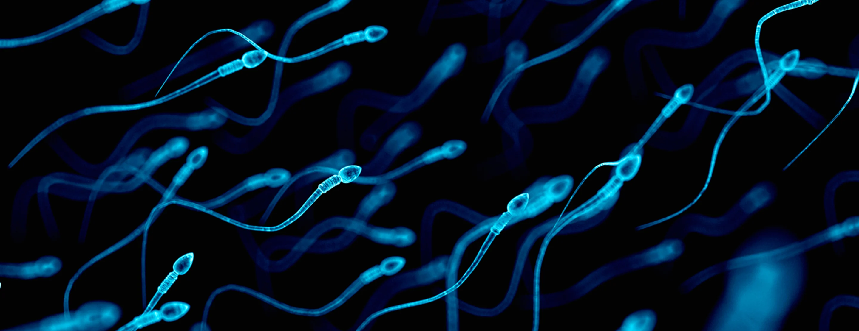Benefits and Side Effects of Semen Retention: The Complete Evidence-Based Guide